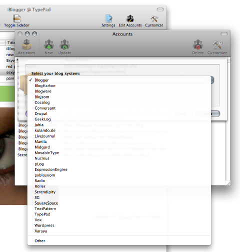 ecto 3 blog setup assistant screen shot